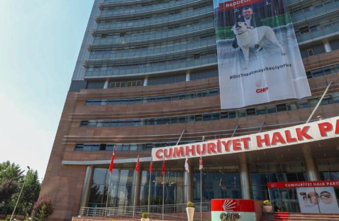 CHP’den belediyelere sokak hayvanları yönetmeliği uyarısı