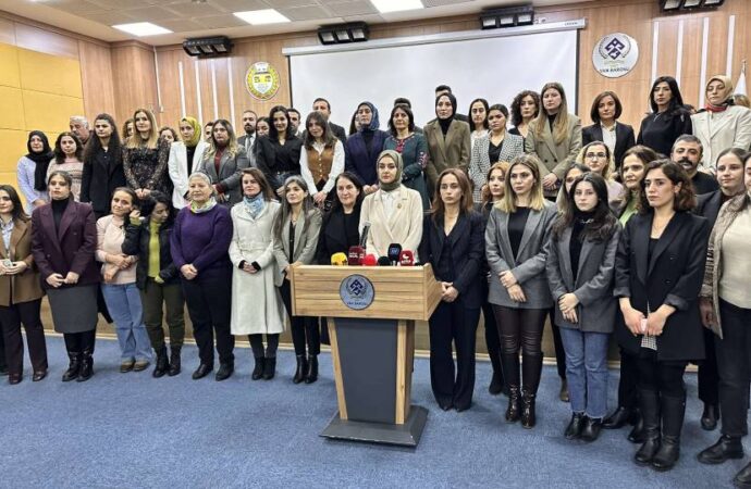 11 barodan ‘Rojin Kabaiş’ için ortak açıklama