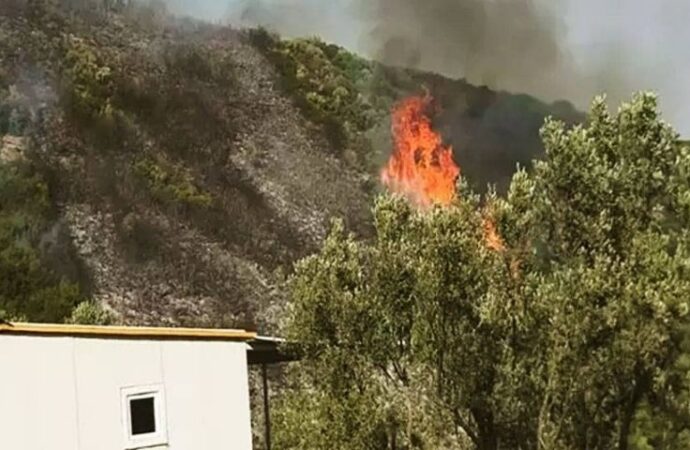 Bursa’da orman yangını soruşturması: 1 kişi gözaltına alındı